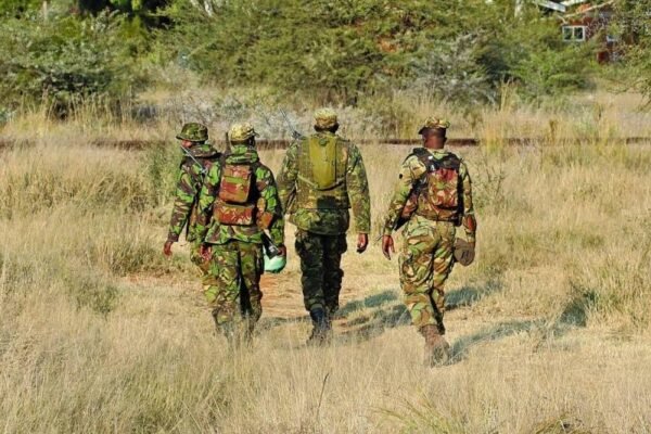Botswana, Namibia intensify cross border operations