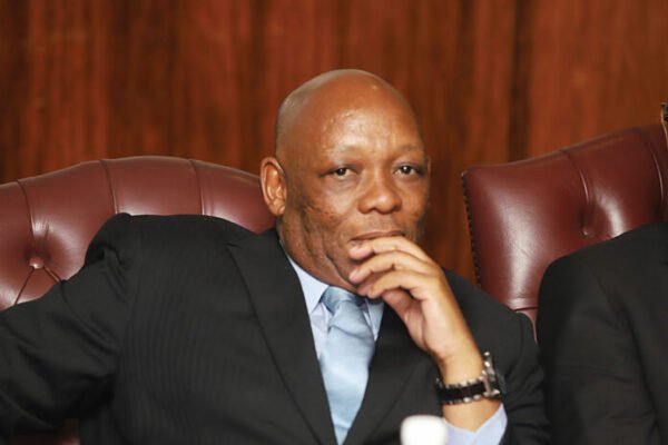 Arming of security companies being mooted